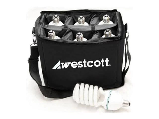 LampGuard Case for 6 CFL Lamps T95777