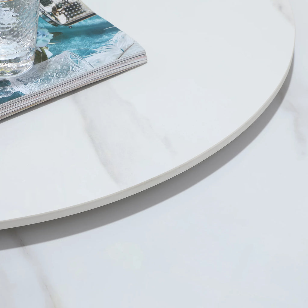 Sintered Stone Dining Table with 8 Chairs R713
