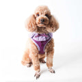 Harness S89916