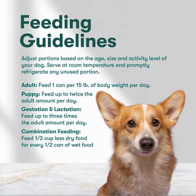 Grain-Free Sweet Potato Wet Dog Food E299