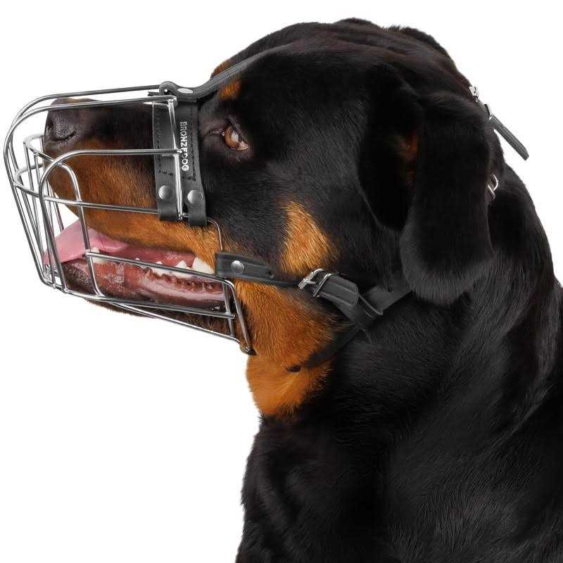Dog Muzzle Wire Basket Adjustable Leather Straps C548261