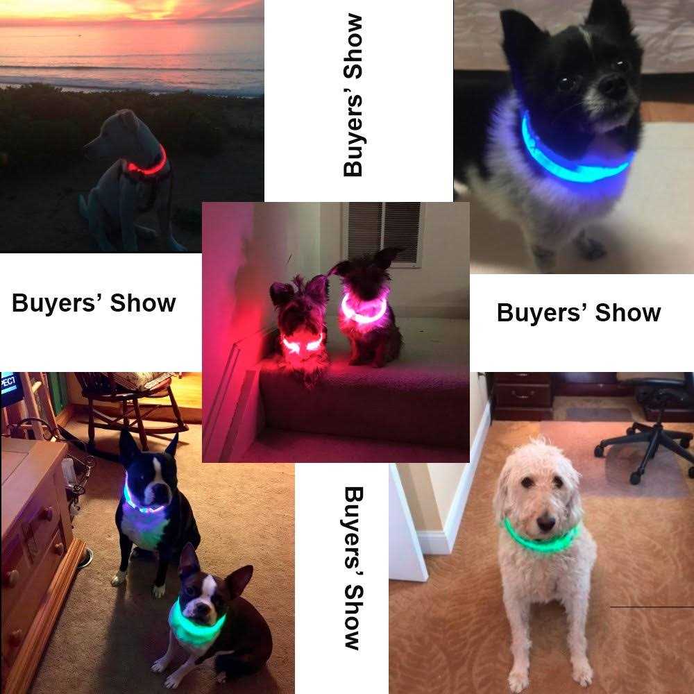 Light Rechargeable LED Dog Collar U233