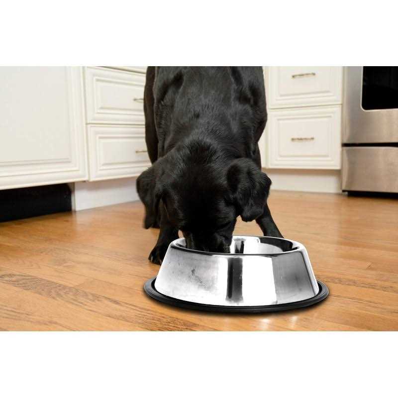2 Pack Stainless Steel Non-Skid Pet Bowl A97752
