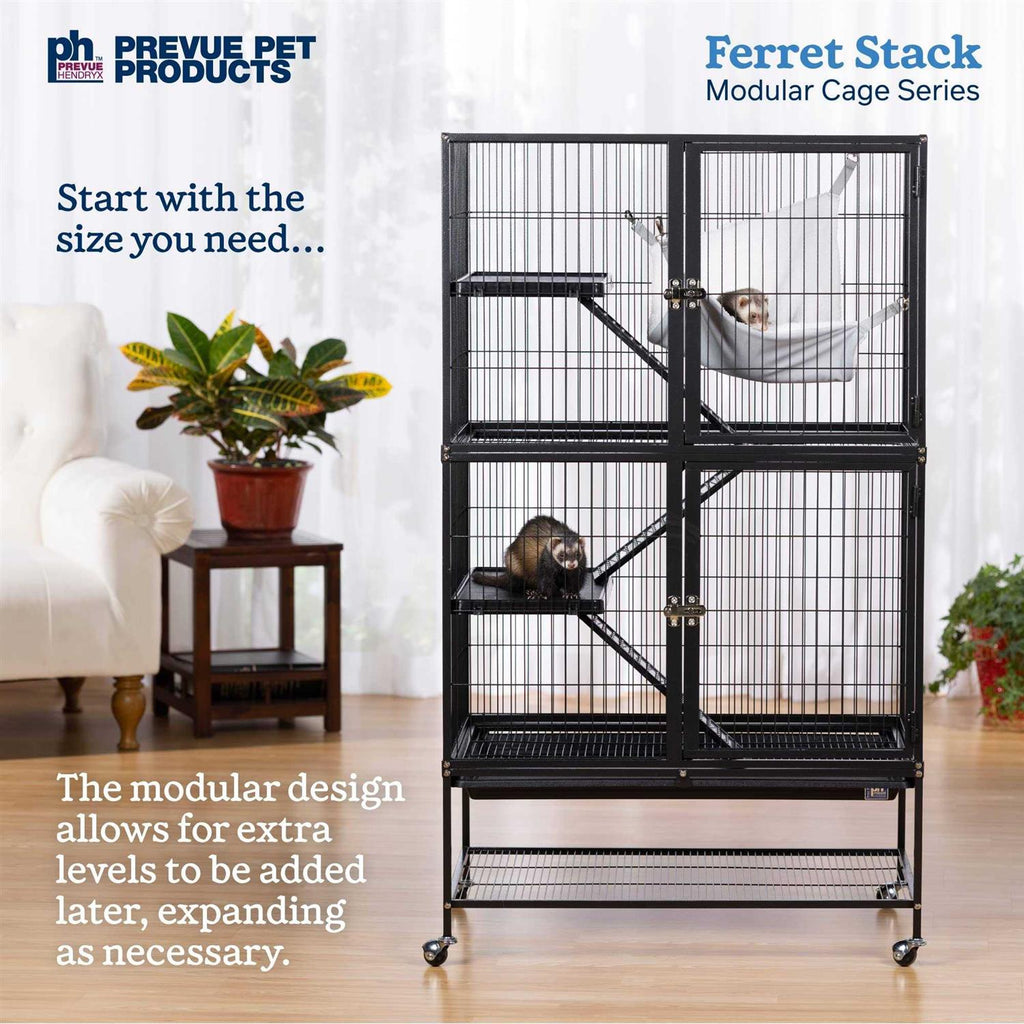 Ferret Two Story Home L340998