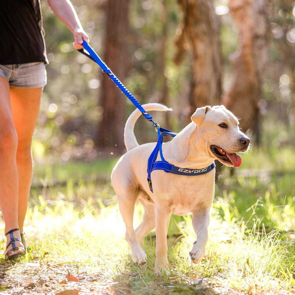 Dog Leash C330