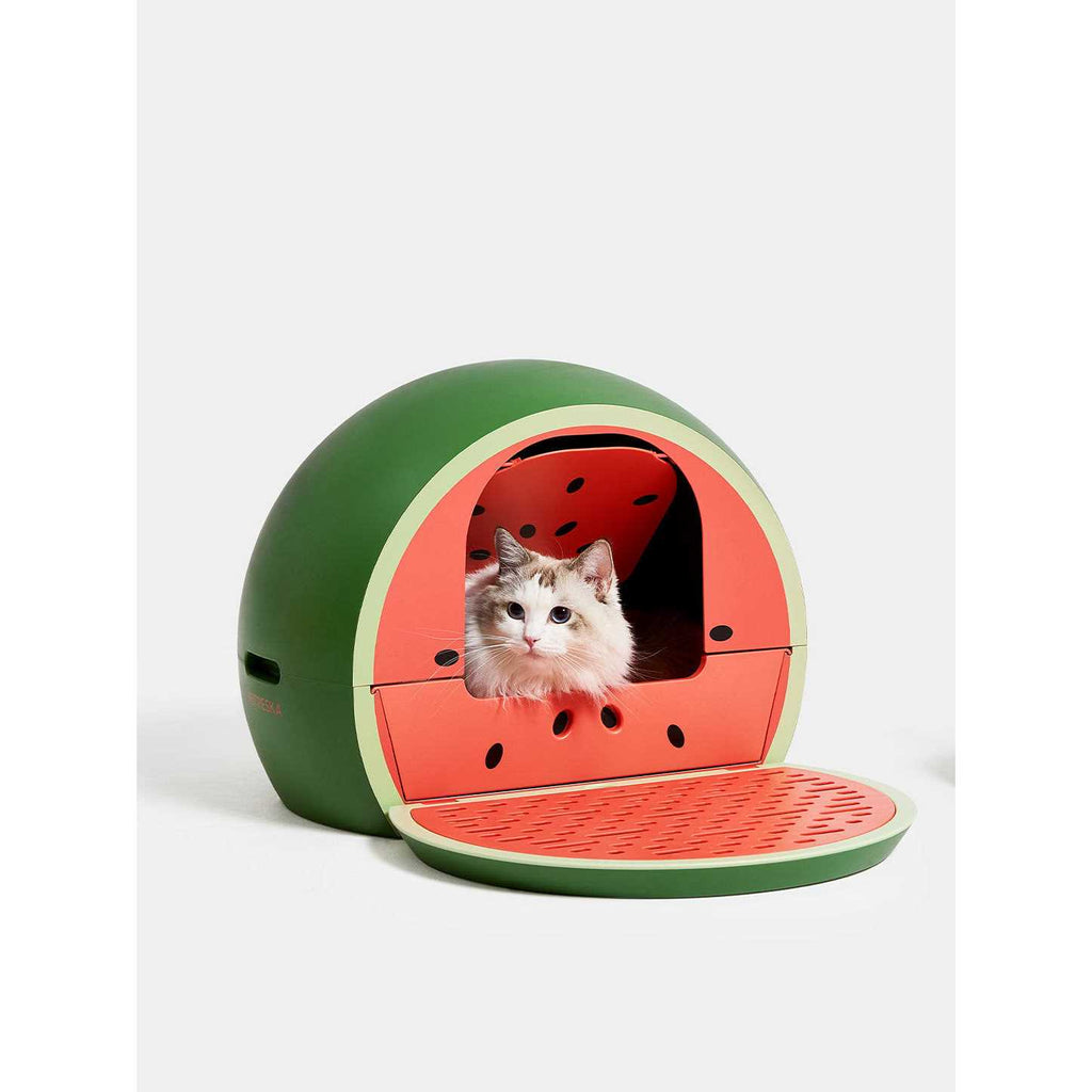 Kitty Kove N53994