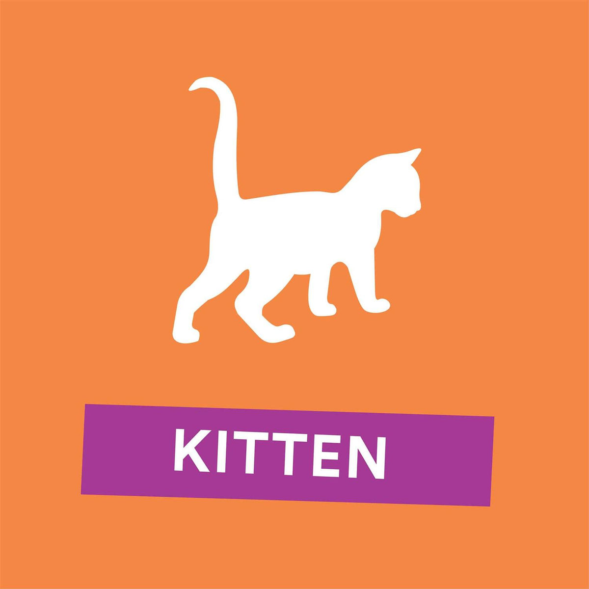 Grain Free Chicken Recipe Dry Kitten Food Z512584