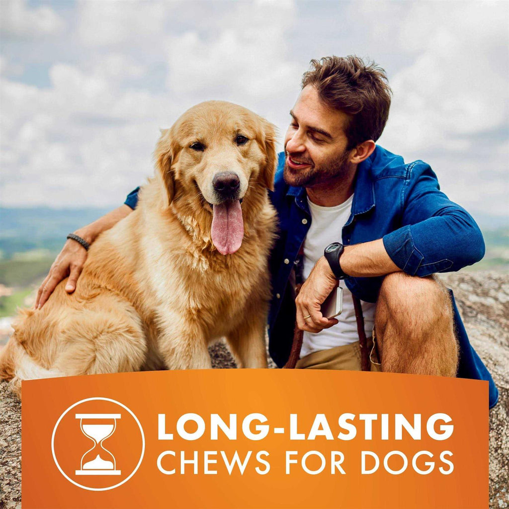Dog Treats S31865