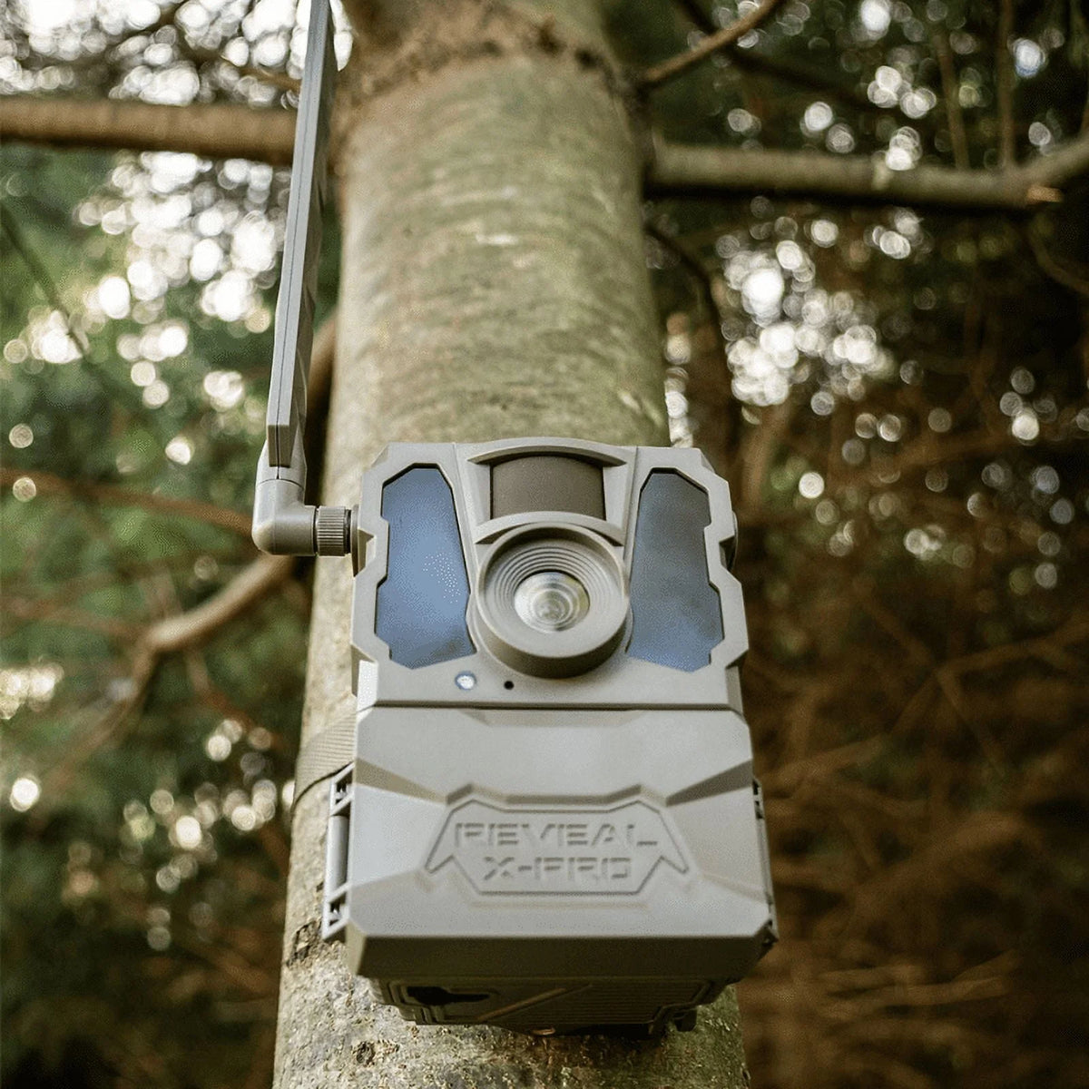 Cellular Trail Camera 16 Megapixels H394